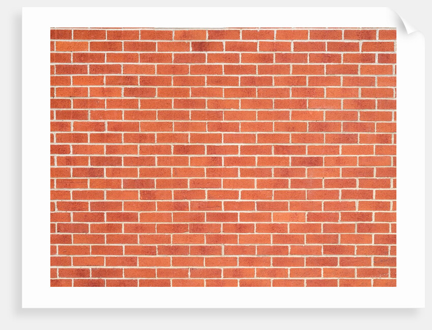 Brick Wall by Assaf Frank